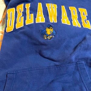 UD/ Delaware blue hoodie